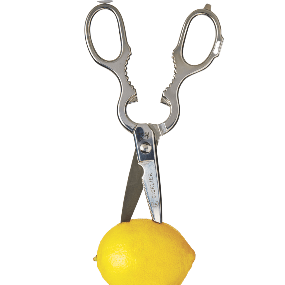 pair of scissors