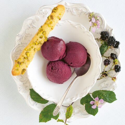 Blackberry Sorbet - Elle Gourmet