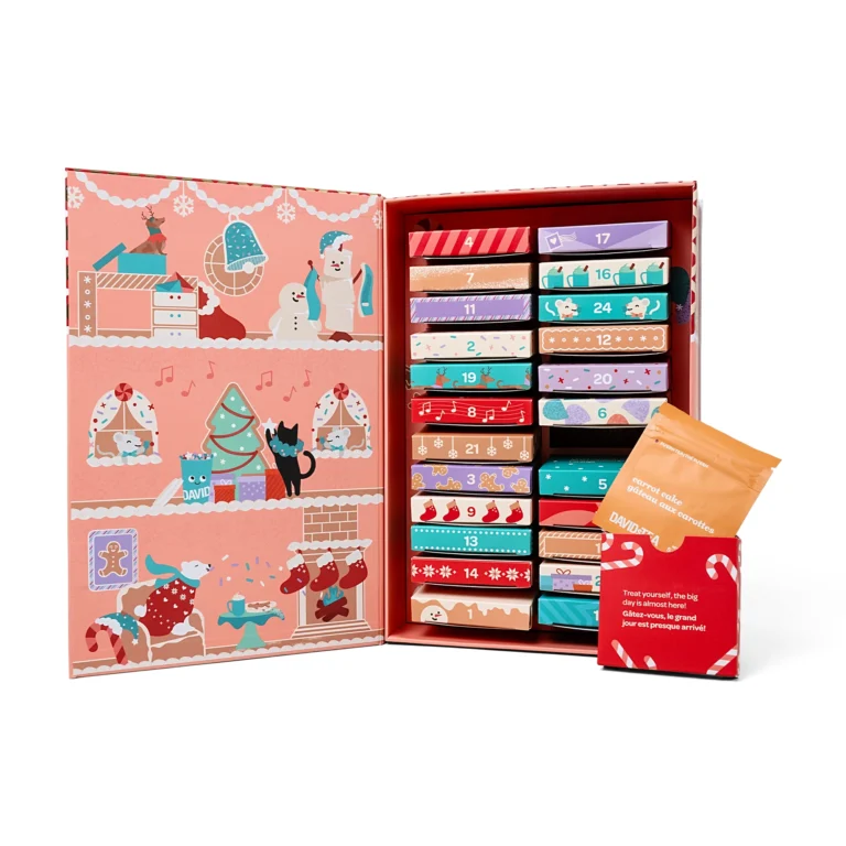 David's Tea 24 Days of Tea Advent Calender