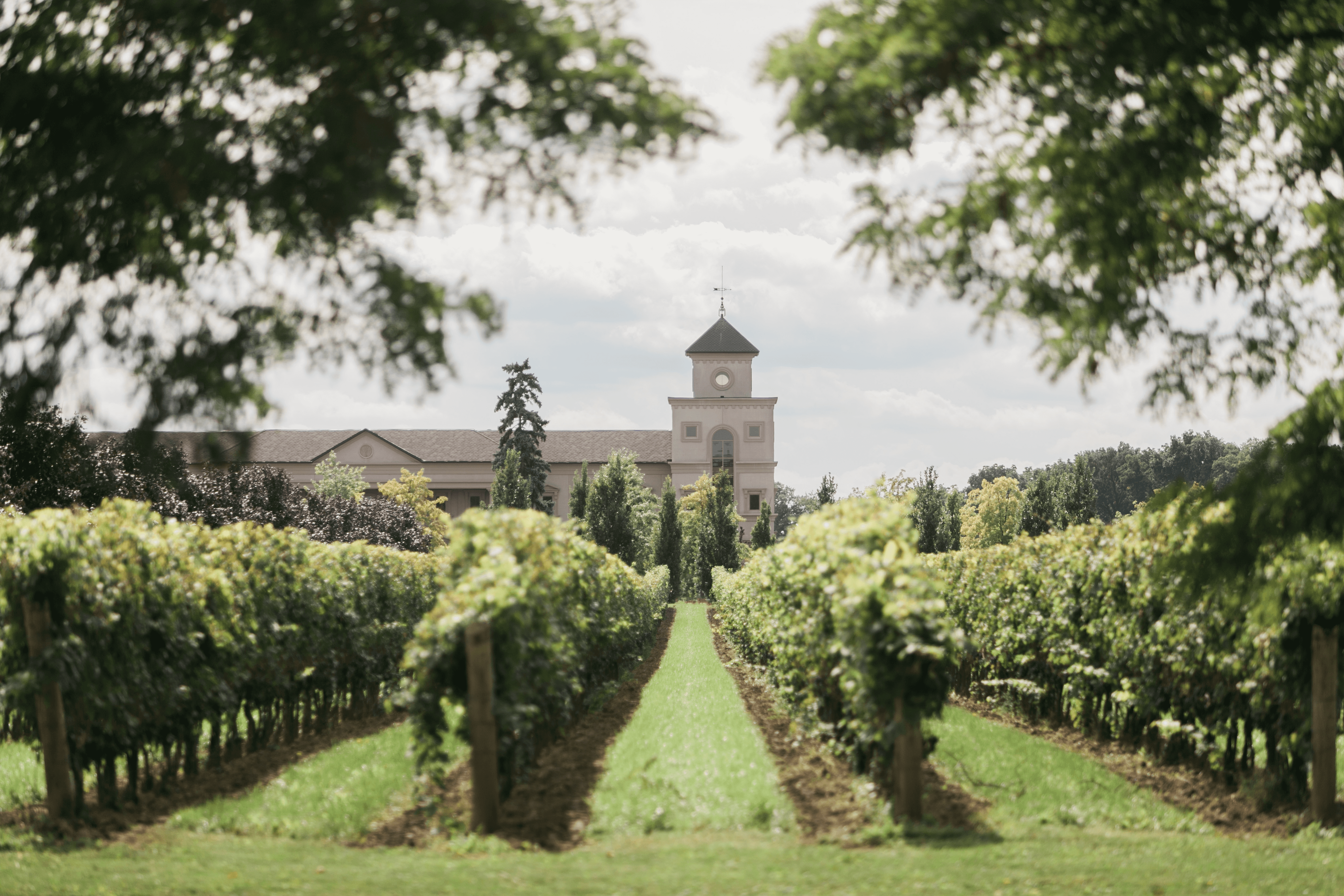 Two Sisters Vineyards has a beautiful view looking through the vineyards to the architectural main building behind it