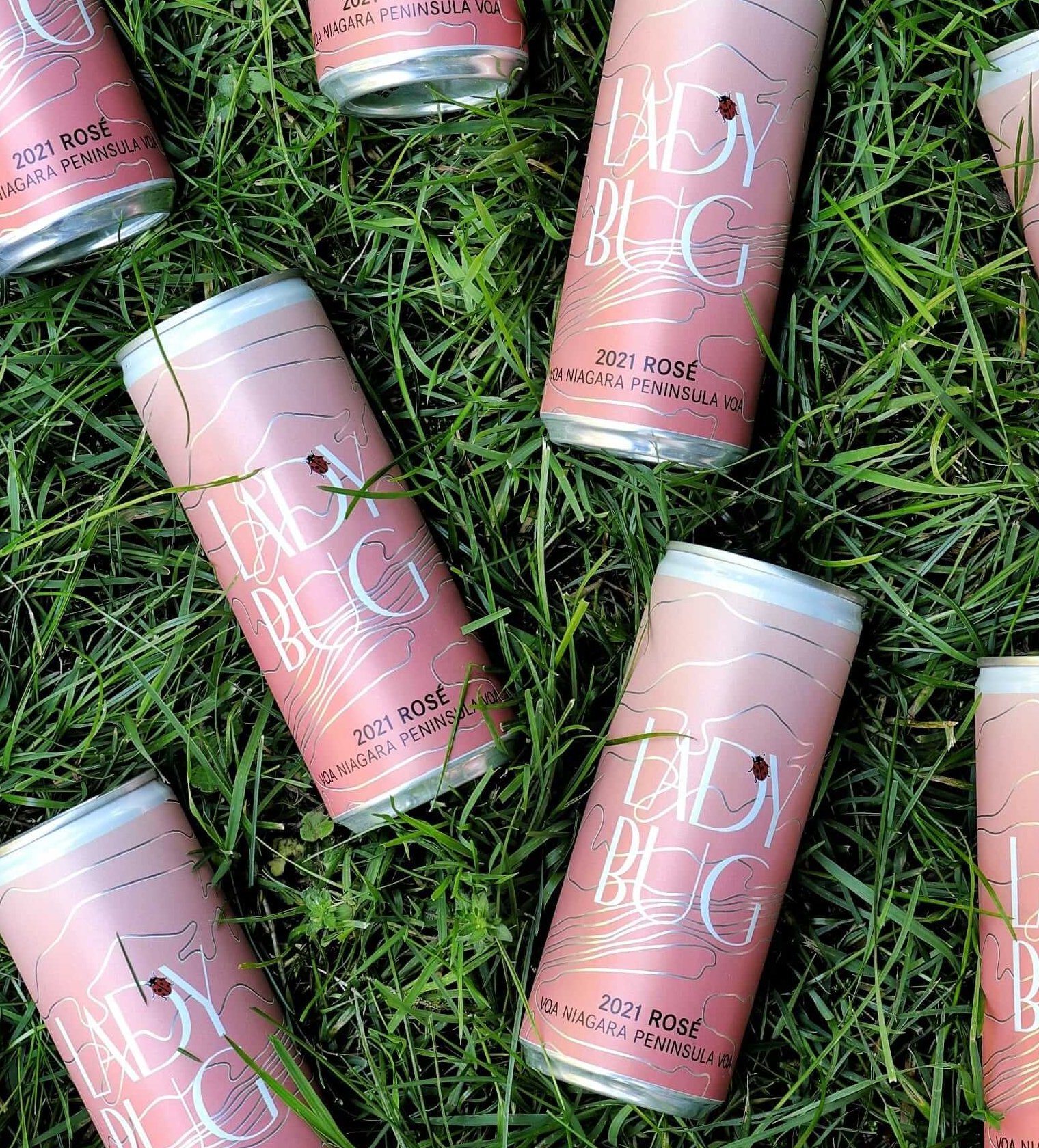 Pink cans with the word "Ladybug" written in white arranged in a loose pattern on green grass.