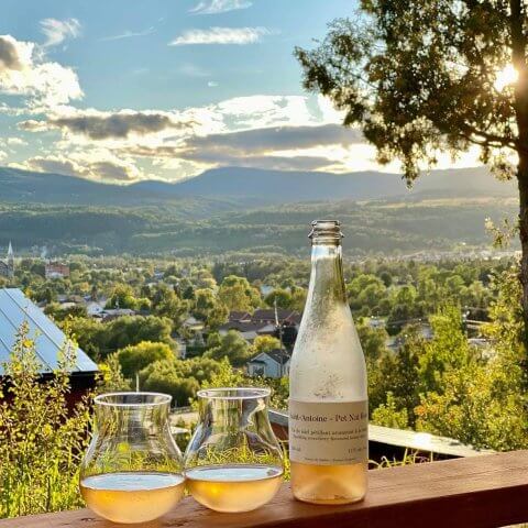 Two glasses of wine and a bottle on a balcony railing overlooking a sprawling green view.